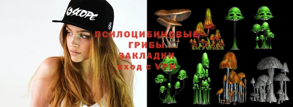 прущий лед Белокуриха
