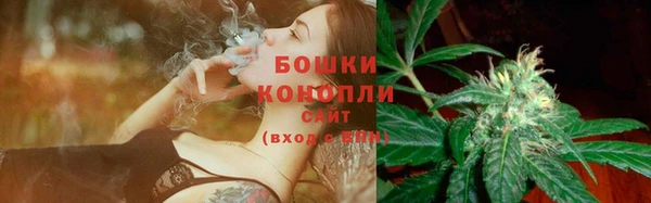 прущий лед Белокуриха