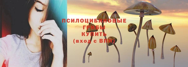 прущий лед Белокуриха