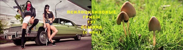 MESCALINE Беломорск