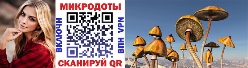 Галлюциногенные грибы MAGIC MUSHROOMS Окуловка