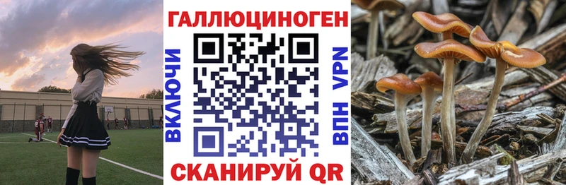 Галлюциногенные грибы GOLDEN TEACHER Окуловка
