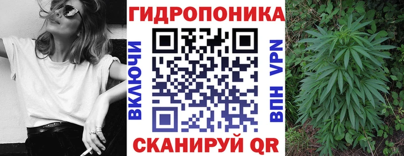 МАРИХУАНА White Widow  купить наркотики цена  мориарти официальный сайт  Окуловка 